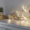LED světelný řetěz – svítící trsy, nano, 2,35 m, vnitřní, teplá bílá, časovač Anteprima dell’immagine prodotto