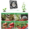 50W Pflanzenlampe LED Vollspektrum Pflanzenlicht Produktbild-Vorschau 10