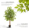 Ficus artificiel FIDA à l'aspect naturel - 160 cm Voir les images du produit 3