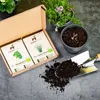Seedhero  Kräutersamen-Set mit 12 Sorten Produktbild-Vorschau 8