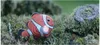 Eugy Clownfish, Animals, 6 lat(a) Podgląd zdjęcia produktu 5