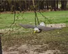 A fake bird of prey is hanging from a tree branch in a garden. Náhled obrázku produktu