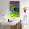 Poster - Poster ohne Rahmen - Pfauen Federn Regenbogen - Produktbild-Vorschau 5