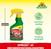 Neudorff Spruzit AF OrchideenSchädlingsFrei 250 ml - Produktbild-Vorschau 3