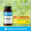 Bioherba Papayablatt Extrakt 250 mg 100 Kapseln Produktbild-Vorschau 4