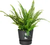 elho Greenville Easy Hanger 19.5 - Blumentopf für Balkon - Produktbild-Vorschau 2