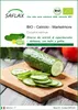 SAFLAX  -- Cetriolo - Marketmore - 20 semi - Cucumis Anteprima dell’immagine prodotto 1