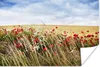 MuchoWow® Poster Wolken - Blumen - Rot 60x40 cm - Produktbild-Vorschau 1