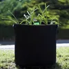 Pflanzsack 60l - 3 STK aus Vliesstoff mit 3 Schilder zum Produktbild-Vorschau 2