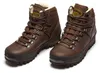 MEINDL Borneo GTX Lady MFS scarpe da donna marrone 39,5 Anteprima dell’immagine prodotto 25