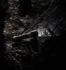 A black flashlight with green accents rests on a textured tree trunk in a dark, wooded area. The flashlight is on, illuminating a section of the bark. Produktbild-Vorschau