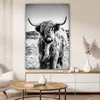 OneMillionCanvasses® - Plátno - Skotský horal - Příroda - Náhled obrázku produktu 6