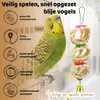 Ensemble de jouets pour oiseaux, 10 pièces : perchoir, Voir les images du produit 4