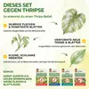 Thripse-Frei Bundle – Raubmilben, Orius & Nematoden Produktbild-Vorschau 3