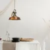 Hängelampe Industrial Asletl Pendelleuchte 40 cm - Kupfer Produktbild-Vorschau 3