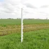 Gallagher Duopack Vario Pfahl 1,00m weiß (2x10) Produktbild-Vorschau 3
