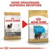 Two bags of Royal Canin dog food, showing a transition from an older package to a newer one. Produktbild-Vorschau