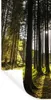 MuchoWow® Wandtattoo Wandsticker Wandaufkleber Baum - Natur Produktbild-Vorschau 1