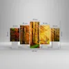 Bild auf Leinwand - Leinwandbild - Wald Baum Natur - Produktbild-Vorschau 3