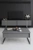 Skye Decor, Luxe - Anthracite, Silver, Couchtische, Produktbild-Vorschau 2