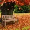 CLP Teakbank Jackson V2 Gartenbank mit Rückenlehne Produktbild-Vorschau 5