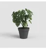 Pot Capri Blanc 60cm Design Moderne, Grande Taille, Voir les images du produit 2