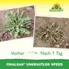 Neudorff Finalsan UnkrautLos Speed 1L für 180 m² turbo Produktbild-Vorschau 5