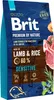 A bag of Brit Premium By Nature dog food, featuring lamb and rice. Anteprima dell’immagine prodotto