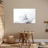 MuchoWow® Poster Katze - Weiß - Großaufnahme 60x40 cm - Produktbild-Vorschau 6