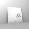Bilder auf glas - Baum Feld Natur - 40x40cm - Glasbilder - Produktbild-Vorschau 4