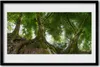 Bild 60x40 MDF-Rahmen Wandkunst Pflanzen-Bäume Natur Produktbild-Vorschau 1