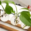 Pflanzenvasen, Terrarium-Stecklinge – Holzhalter mit Glas – Produktbild-Vorschau 5