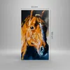Bild auf Leinwand - Leinwandbild - Pferd Natur Tier - Produktbild-Vorschau 3
