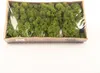 INNA-Glas Dekoratives Moos SVEINBJÖRN, wiesengrün, 500g - Produktbild-Vorschau 2