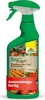 Neudorff BioKraft Vitalkur AF für Buxus & Ilex 500ml Produktbild-Vorschau 1