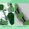 Supports autocollants pour plantes grimpantes, 20 pièces Voir les images du produit 7
