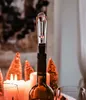 AdHoc VA10 Aérateur de vin et bec verseur Vine, acier Voir les images du produit 5