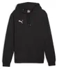 Puma Teamgoal hoodie voor heren - zwart Productafbeelding-voorbeeld 11