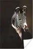 MuchoWow® Poster Alte Meister - Ölgemälde - Zebra 80x120 cm Produktbild-Vorschau 1