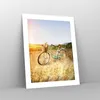 Poster - Poster ohne Rahmen - Fahrrad Wiese Blumen - 40x50 Produktbild-Vorschau 7
