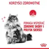 Royal Canin Hair & Skin Care, Adult, 4 kg, Antioxidantien Produktbild-Vorschau 6