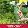 Neudorff Fungisan Rosen- und Buxus-Pilzfrei 1 Liter zur Produktbild-Vorschau 6