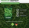 Salatrauke Einjährig Samen - Eruca sativa - Salatraukesamen Produktbild-Vorschau 9
