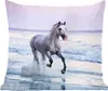 MuchoWow® Zierkissen Sofakissen Wohnzimmer Dekokissen 60x60 Produktbild-Vorschau 1