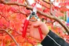 FELCO 12 Gartenschere mit Drehgriff für Rechtshänder, Produktbild-Vorschau 20