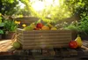 BOGATECO Holzkiste Natur | 40 cm x 35 cm x 14,5 cm | Produktbild-Vorschau 7