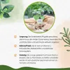 Enseleits 3er Set Andenbeere (Physalis peruviana), frische Produktbild-Vorschau 4