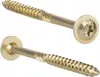 Two gold-colored screws with Torx heads are shown against a white background. Podgląd zdjęcia produktu
