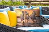 MuchoWow® Outdoor Kissen - Pferde - Sonne - Meer - Strand - Produktbild-Vorschau 4