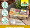Neudorff Kokohum BlumenErde Brikett ergibt 7L Erde - aus Produktbild-Vorschau 5